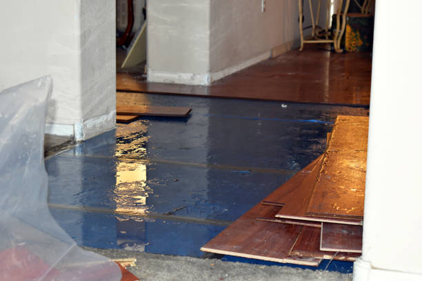 Professional Water Damage Restoration technician working in Colton, OH